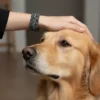NEORIX RENKLİ GEOMETRİK ELASTİK BİLEKLİK Siyah geometrik desenli Nerix elastik bileklik takan kişinin köpeğini sevdiği yakın plan fotoğraf.
